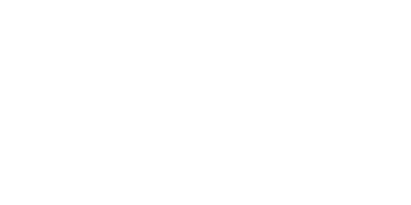 light logo